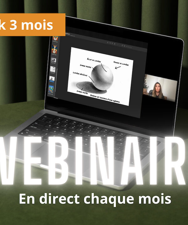 Pack Webinaire - 3 mois