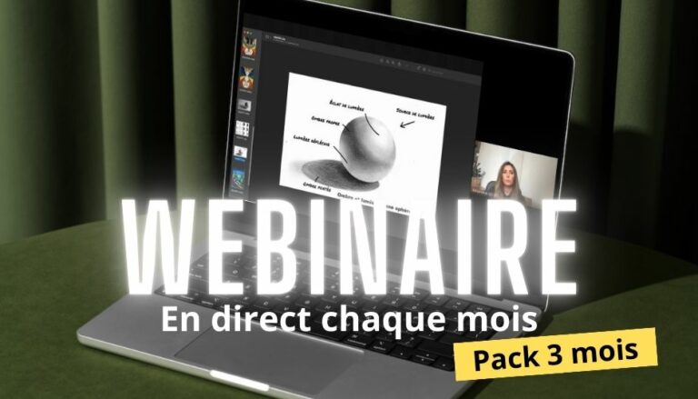 Pack Webinaire – 3 mois